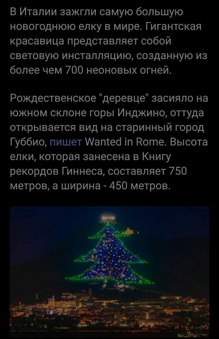 S01210-230020елка.jpg
