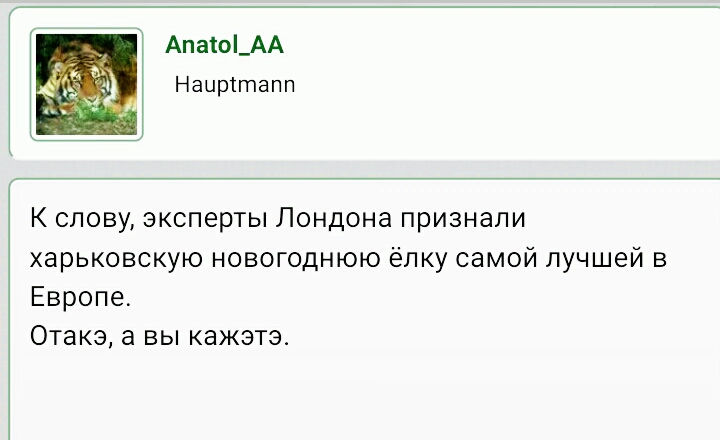 S01231-023404йолка.jpg