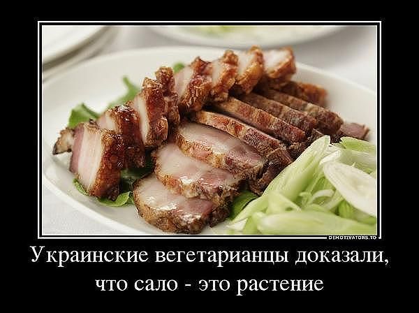 с1.jpg