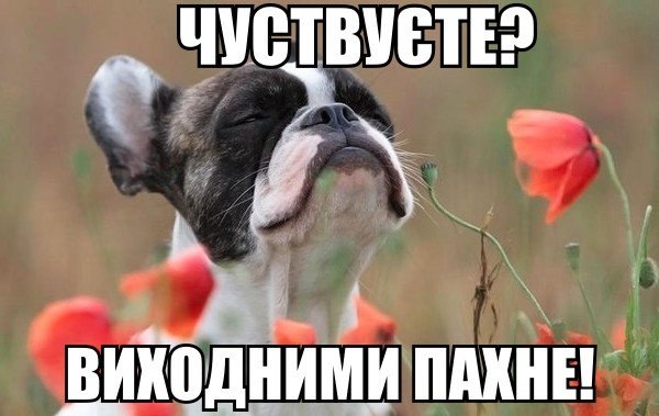 с1.jpg