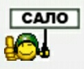 S10130-сало.jpg