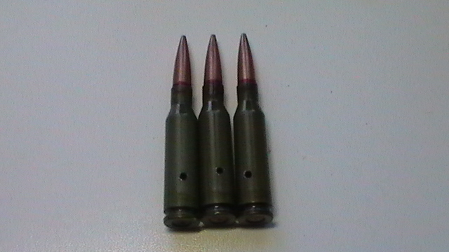 S1300001.JPG