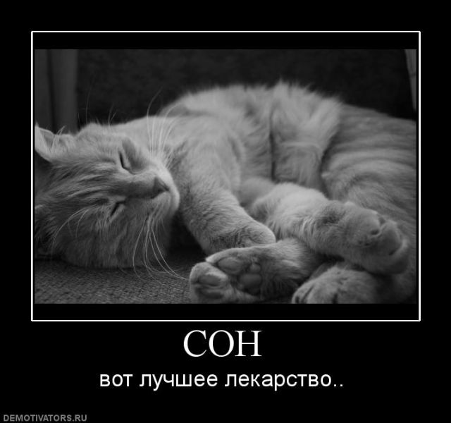 s3img_13585366_2067_0.jpg