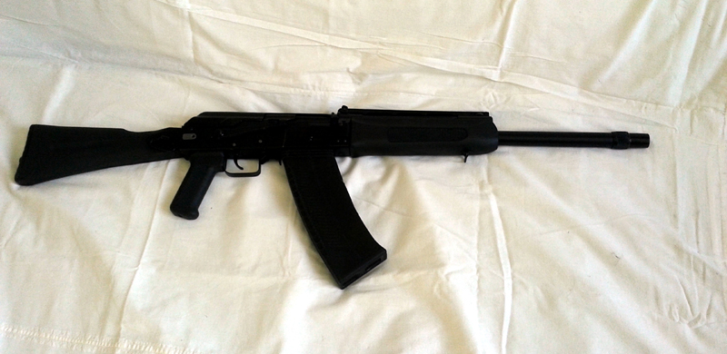 Saiga.jpg