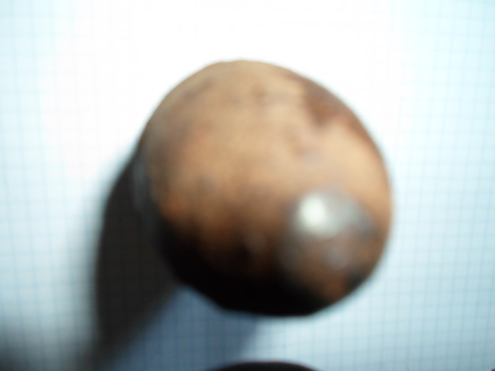 SAM_0681.JPG
