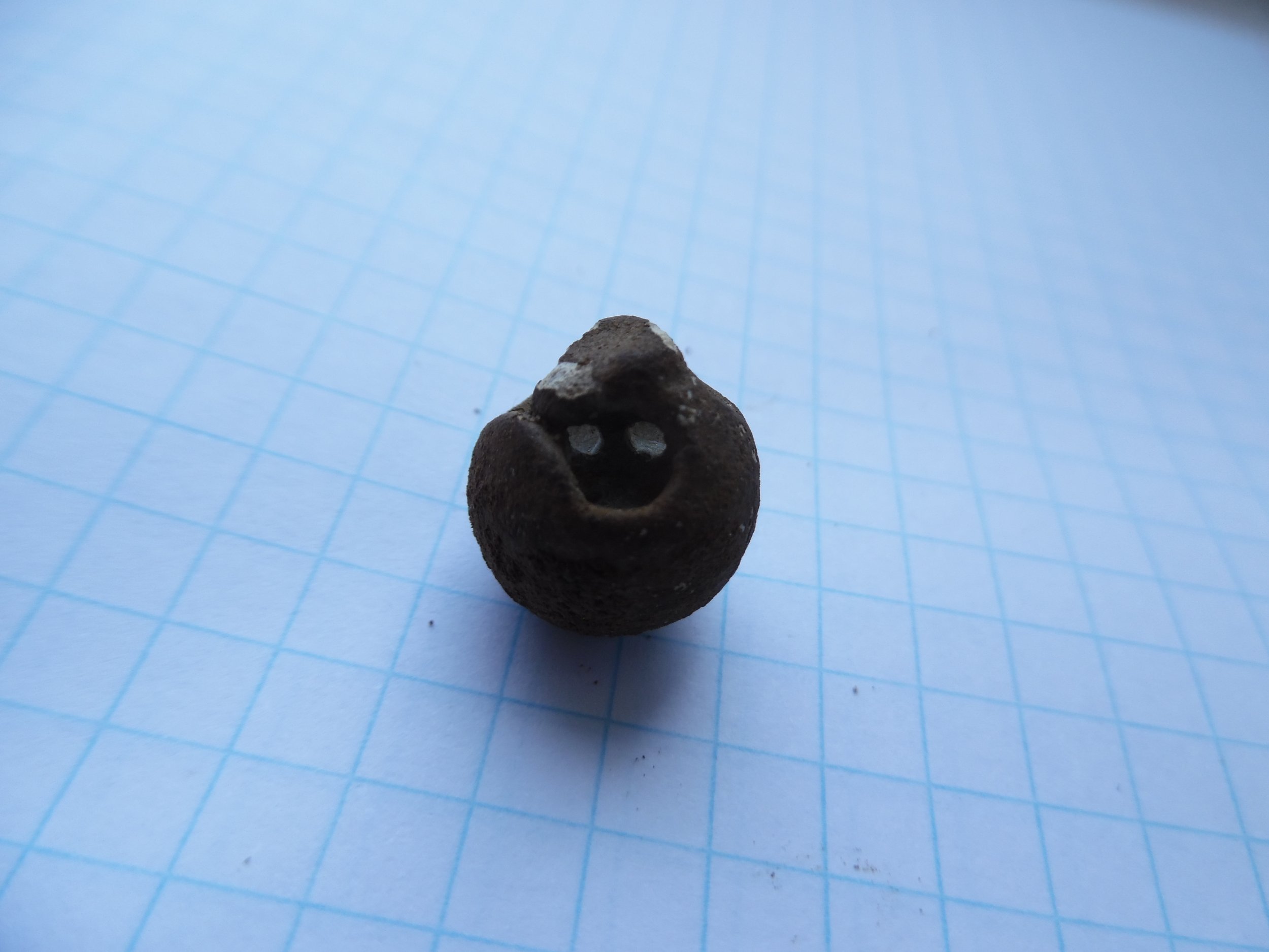 SAM_0856.JPG