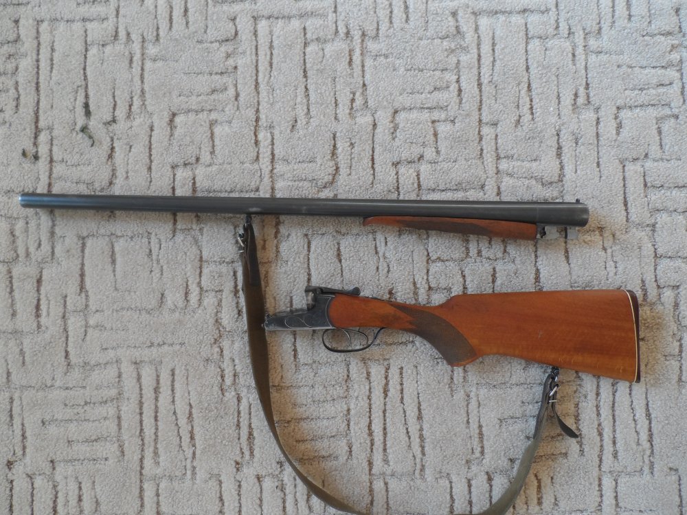 SAM_1950.JPG