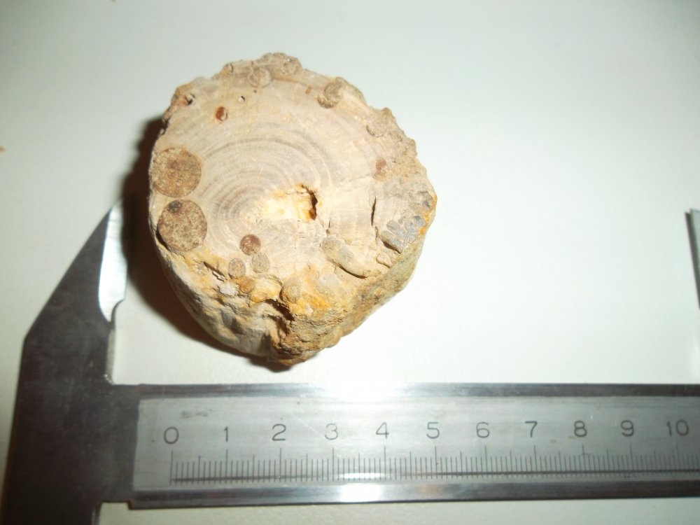 SAM_3970.JPG