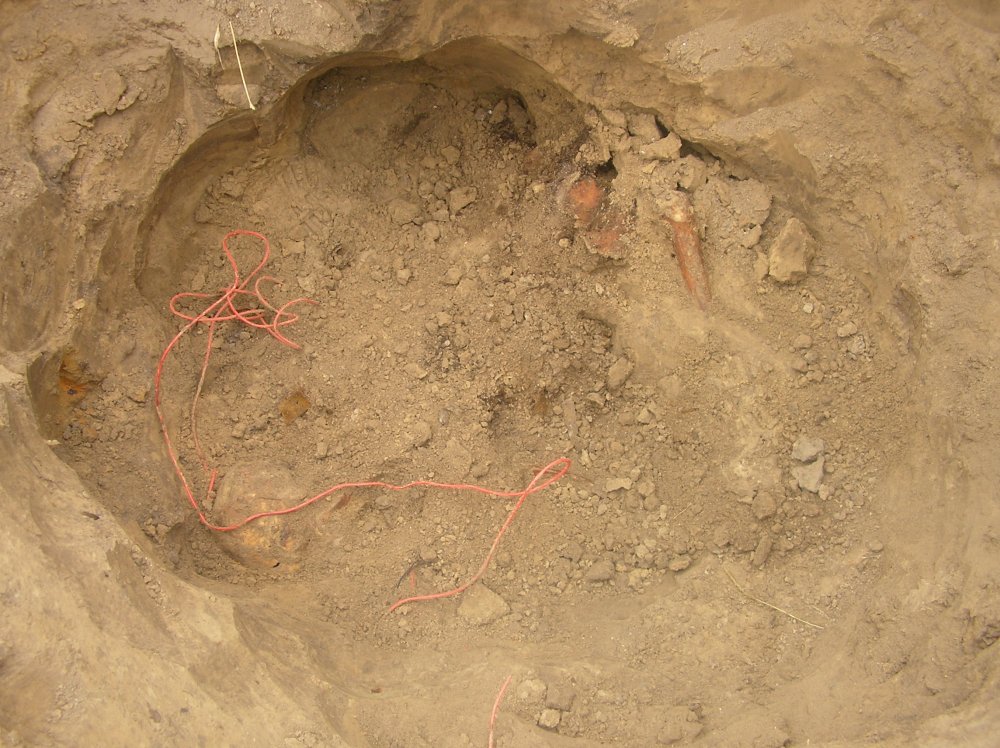 SANY0024.JPG