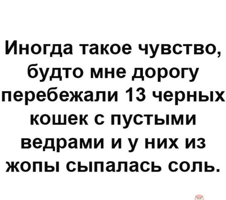 SAVE_20181223_141005.jpeg