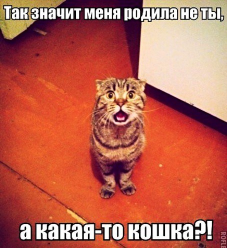 SAVE_20190108_185438.jpeg