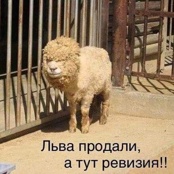 SAVE_20190117_110626.jpeg