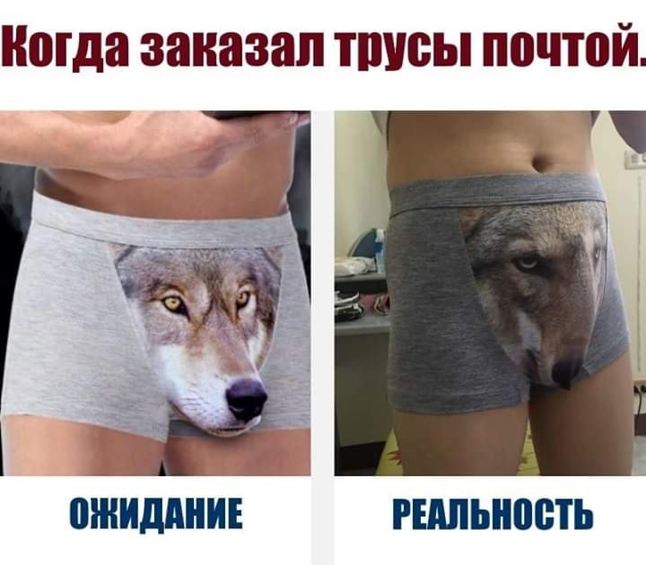 SAVE_20190131_112958.jpeg