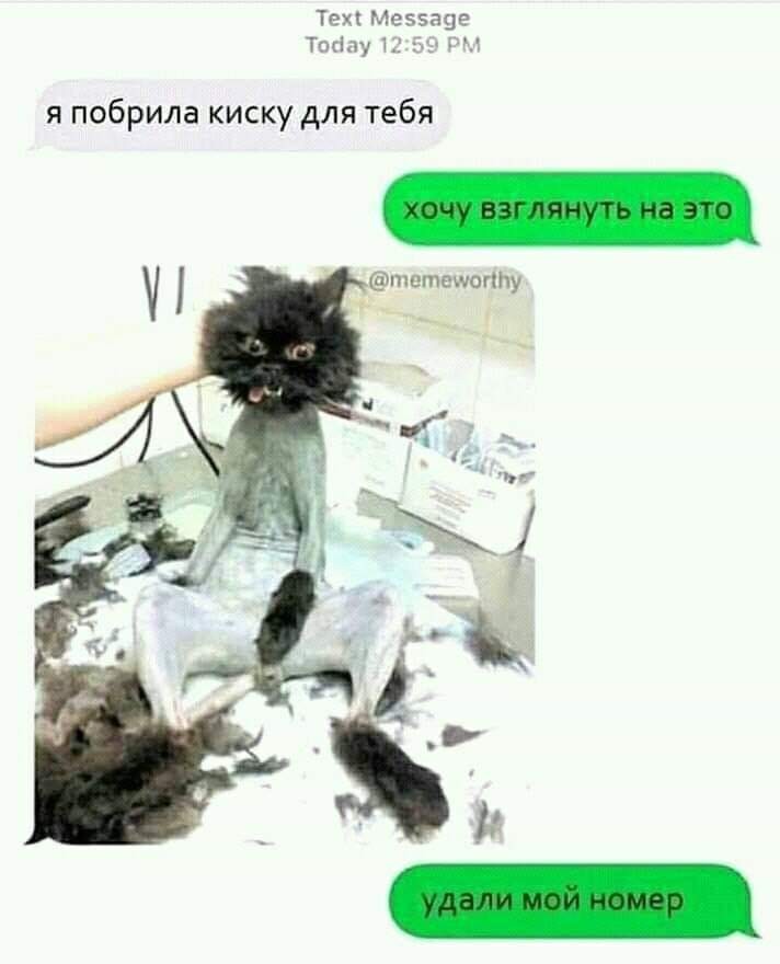 SAVE_20190202_093746.jpeg