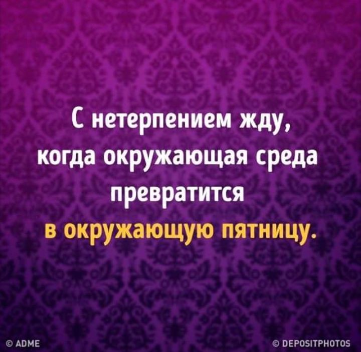 SAVE_20190214_094412.jpeg