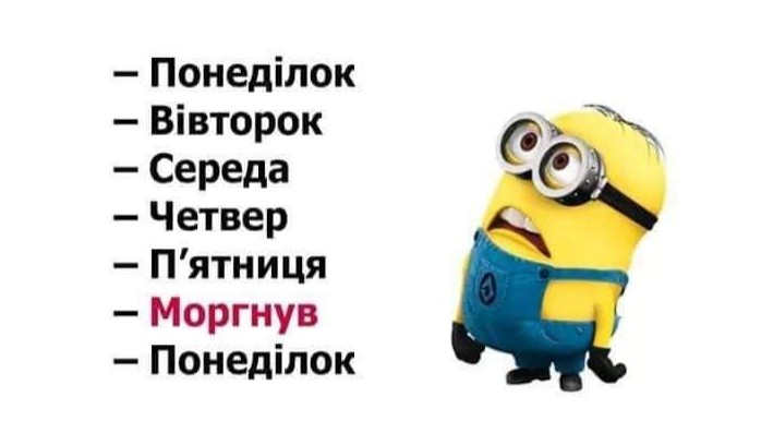 SAVE_20190217_174739.jpeg