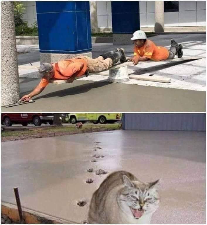SAVE_20190604_124030.jpeg