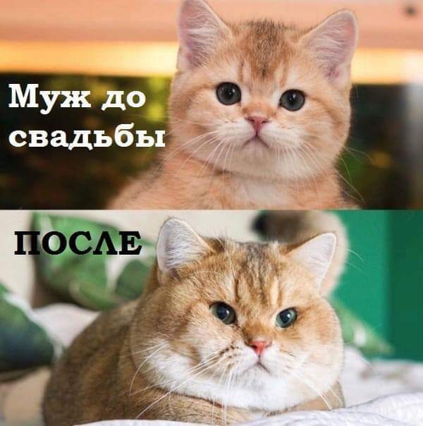 SAVE_20190604_164735.jpeg