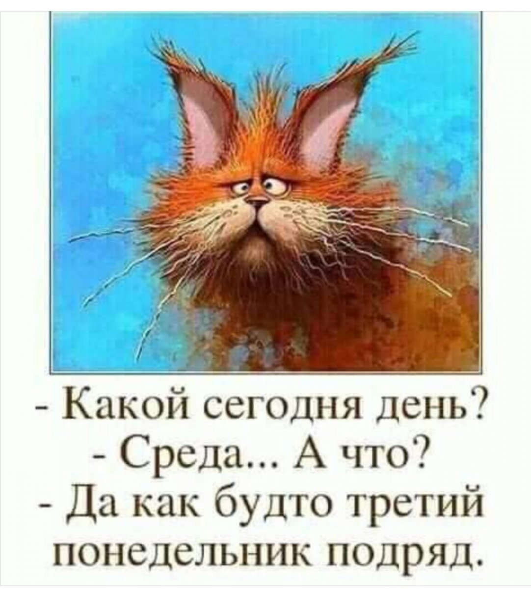 SAVE_20190605_185426.jpeg