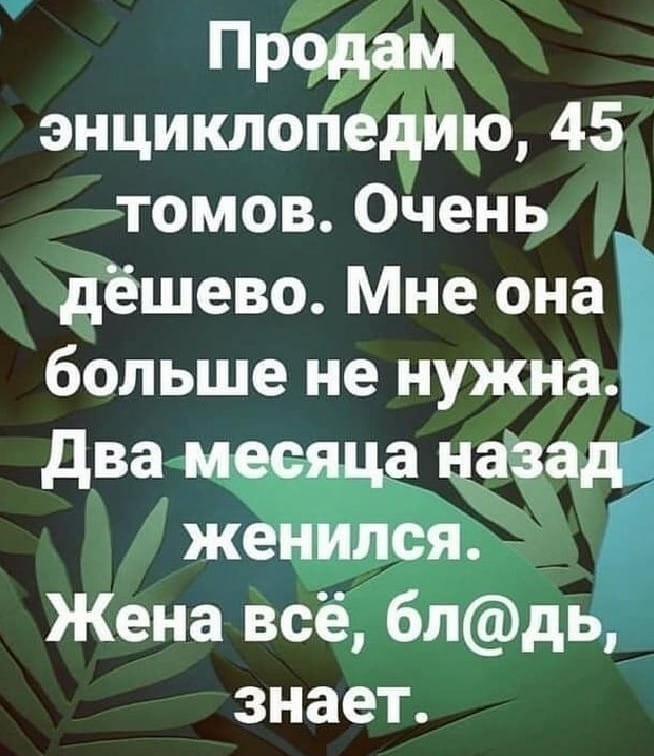 SAVE_20190615_073717.jpeg
