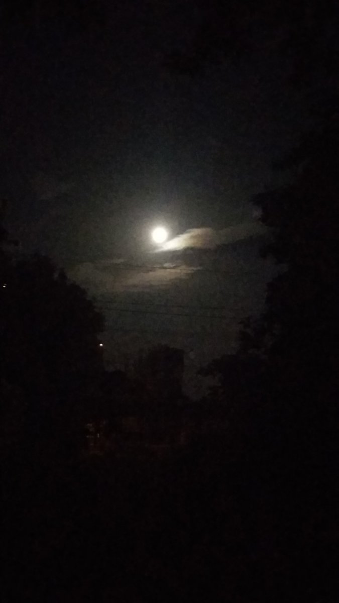 SAVE_20190616_231755.jpeg