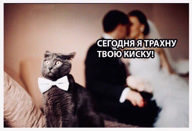 SAVE_20190629_175442.jpeg