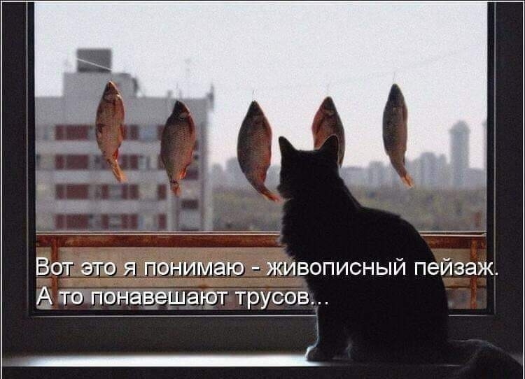 SAVE_20191209_213454.jpg