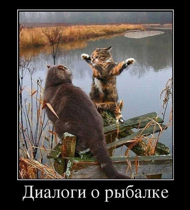 SAVE_20200210_231334.jpg