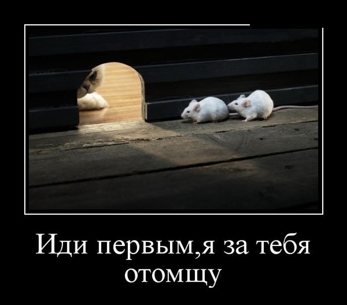 SAVE_20200210_231349.jpg