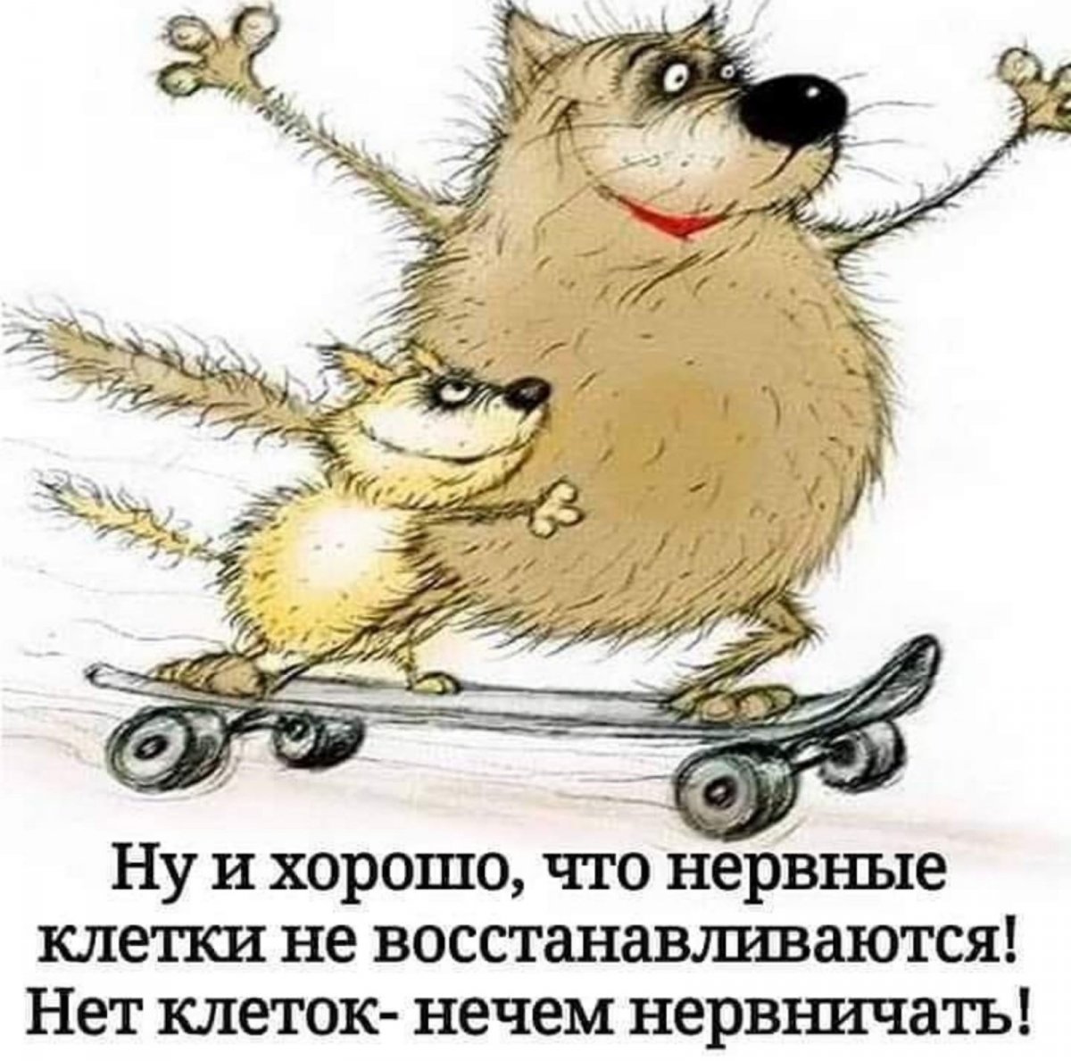 SAVE_20200210_231517.jpg