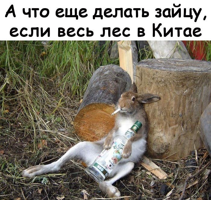 SAVE_20200403_161712.jpg