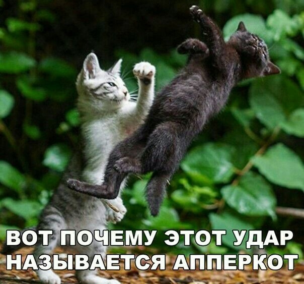 SAVE_20200915_130503.jpg