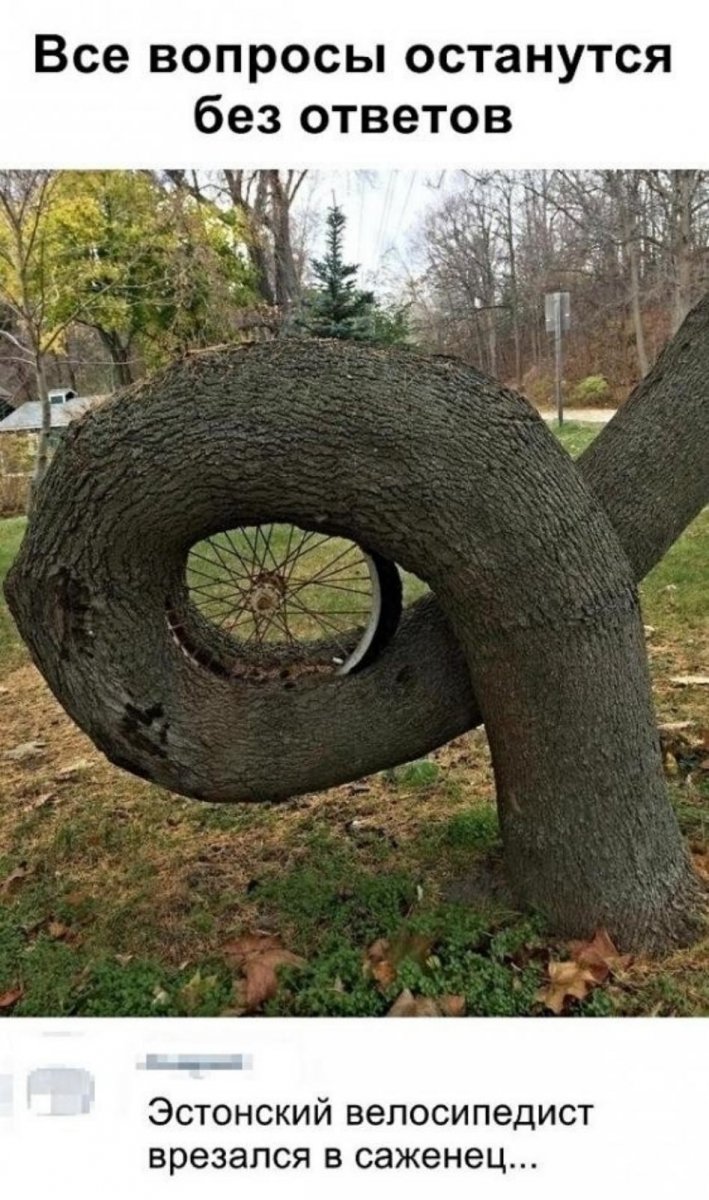 SAVE_20201005_142027.jpg