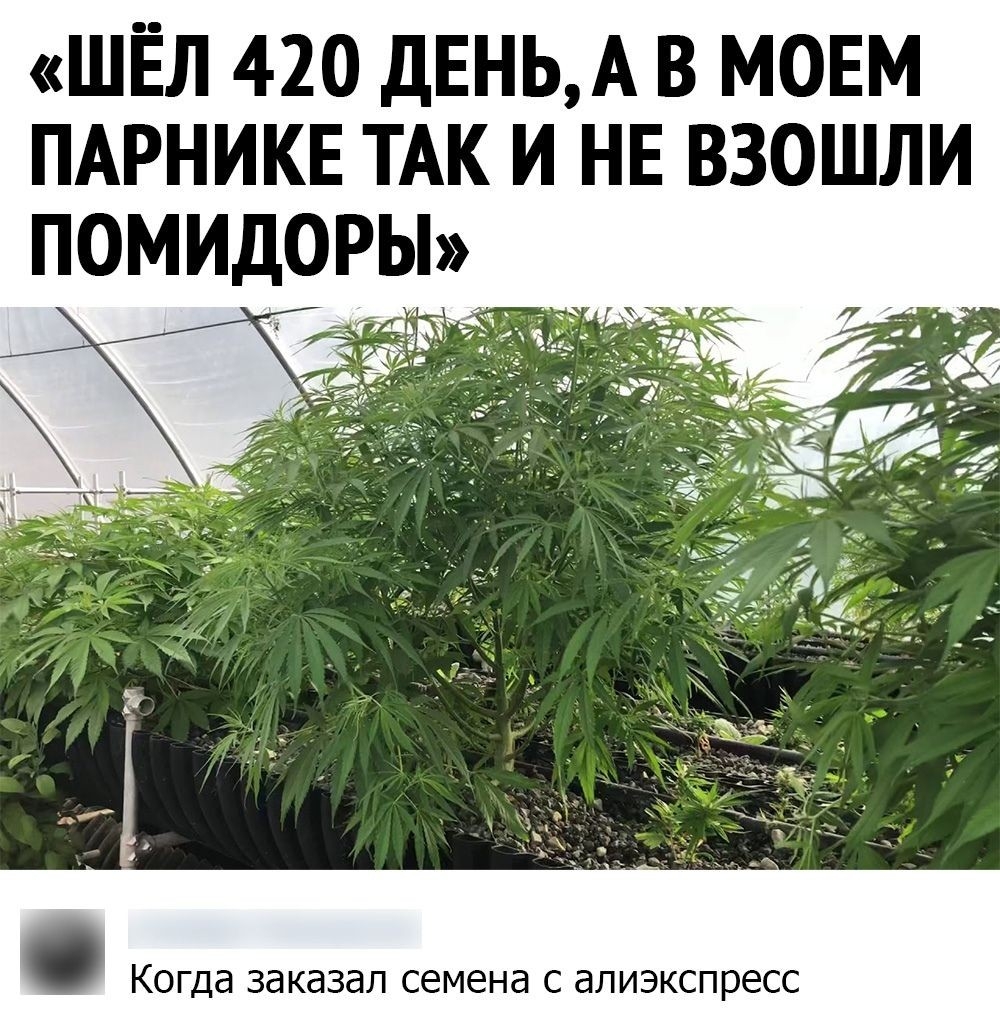 SAVE_20201013_110830.jpg