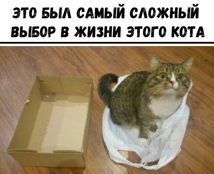 SAVE_20201130_201006.jpg