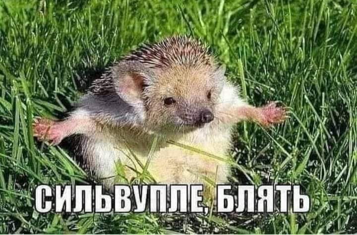 сб.jpg