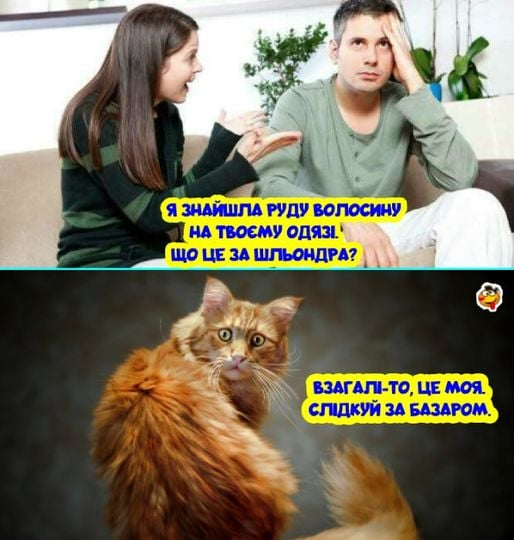 що.png