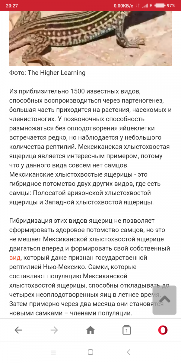 Screenshot_2018-12-25-20-27-23-960_com.opera.mini.native.png