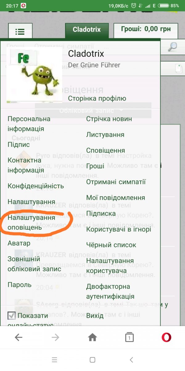 Screenshot_2019-09-21-20-17-15-426_com.opera.mini.native.jpg