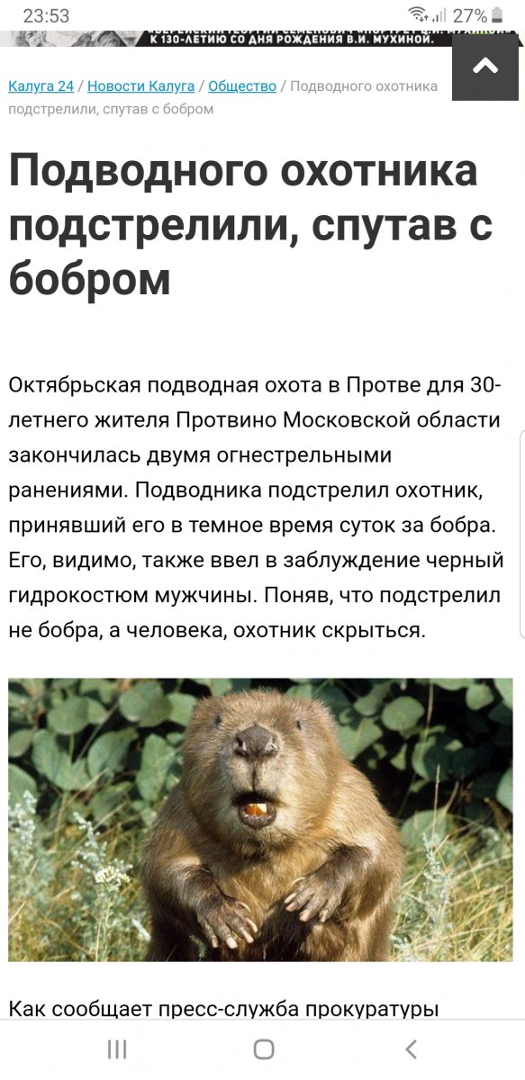Screenshot_20191102-235349_Chrome.jpg