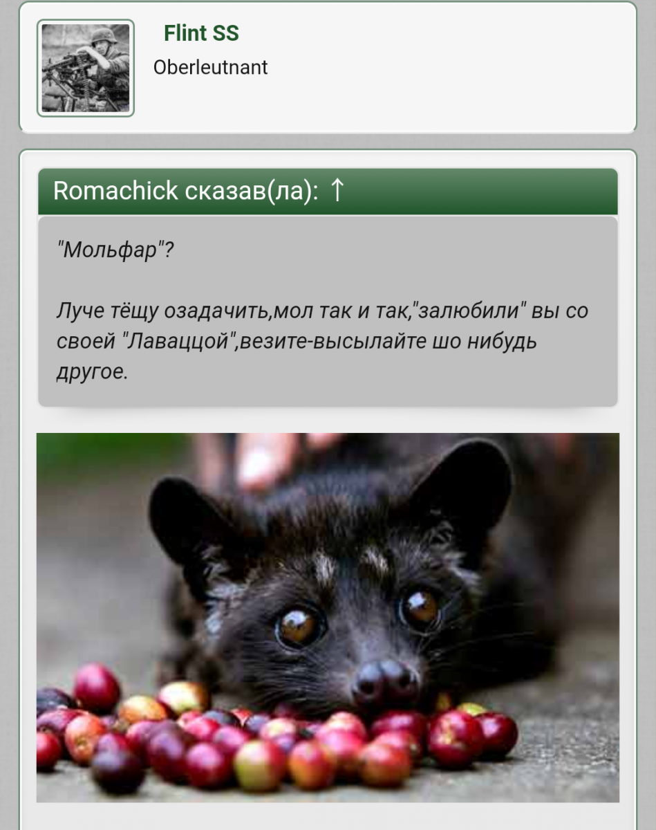 Screenshot_2020-02-09-11-58-53.png
