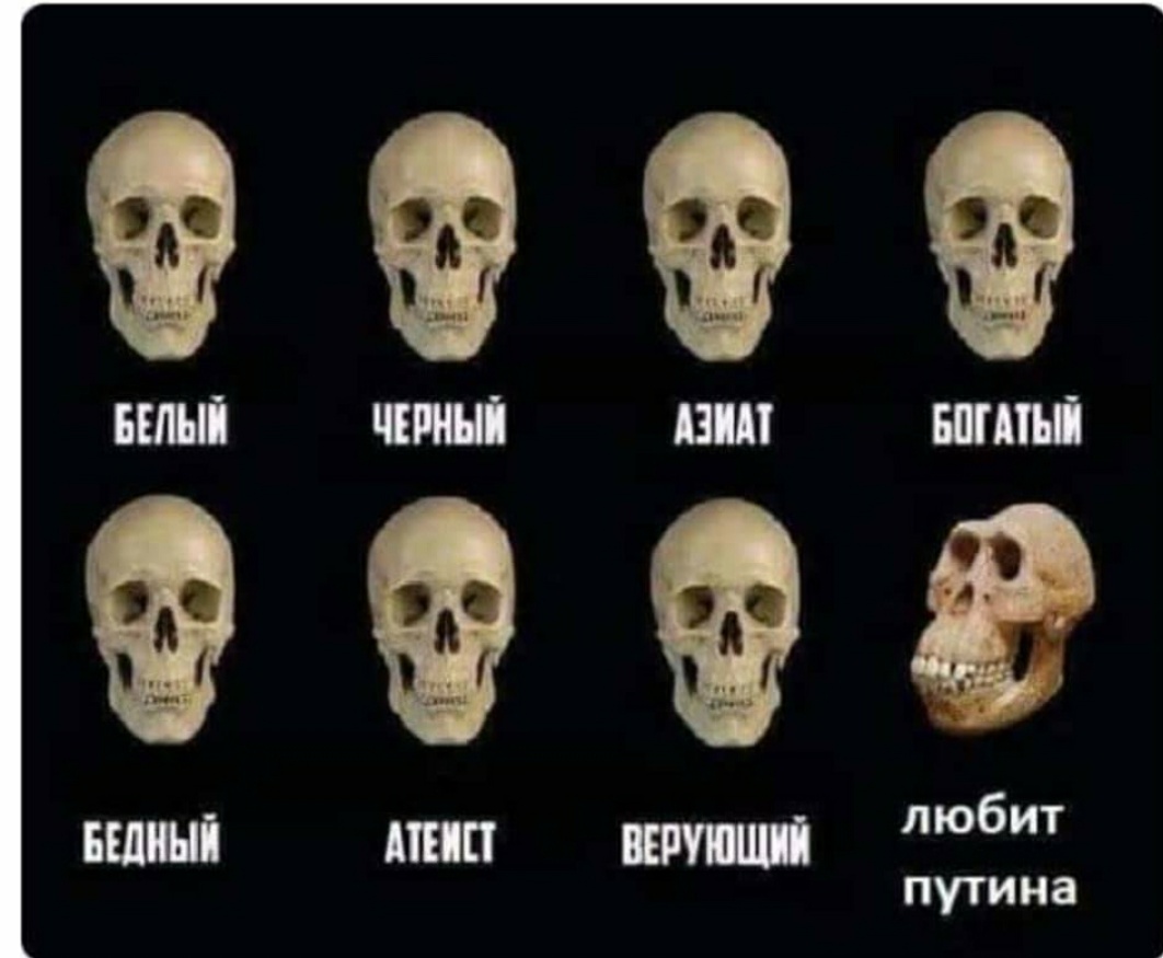 Screenshot_2020-06-03-18-46-19-947_com.whatsapp.jpg
