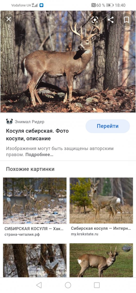 Screenshot_20201231_184036_com.android.chrome.jpg