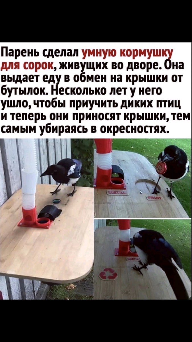 Screenshot_2021-06-01-19-28-37-231_com.viber.voip.jpg