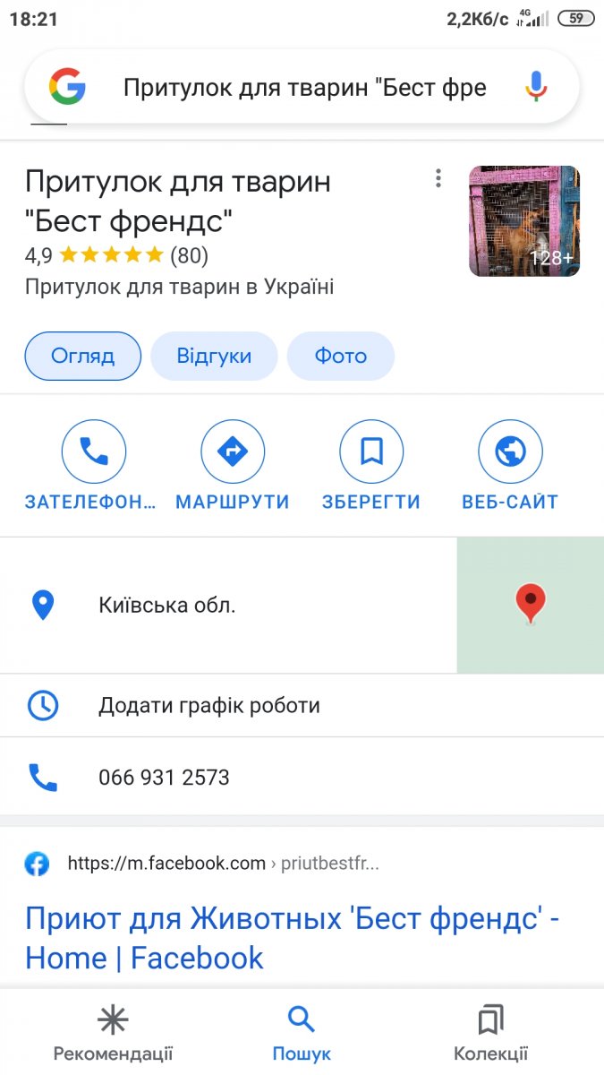 Screenshot_2021-10-10-18-21-54-782_com.google.android.googlequicksearchbox.jpg