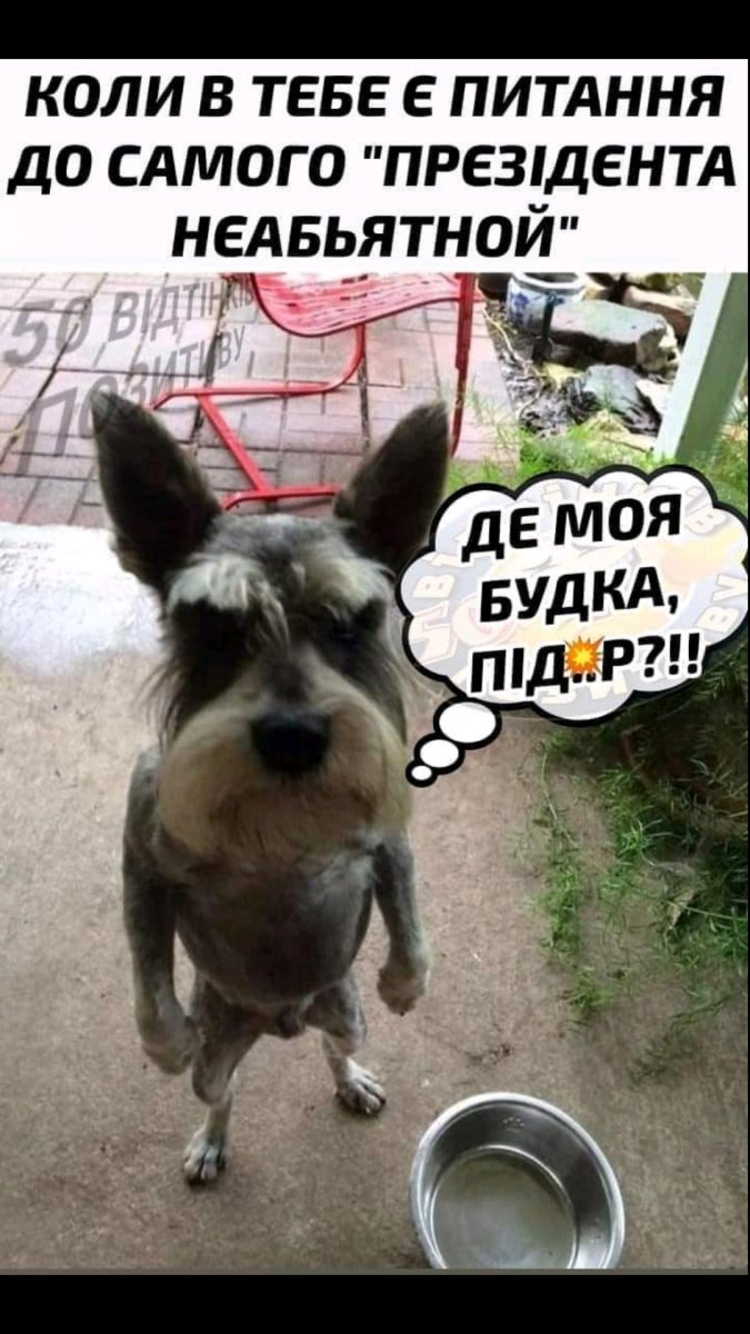 Screenshot_2022-04-28-08-34-29-946_com.viber.voip.jpg