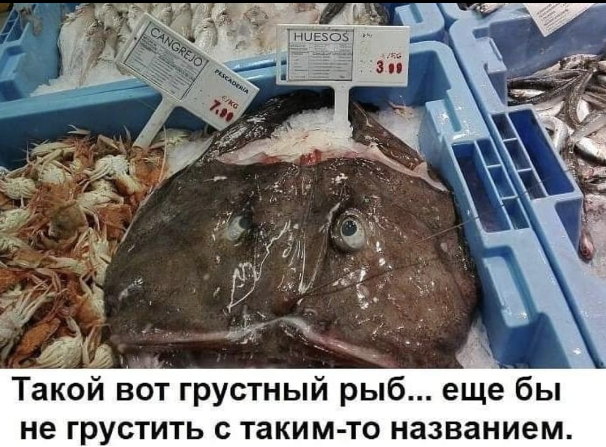 Screenshot_2024-04-30-21-52-34-318-edit_com.whatsapp.jpg