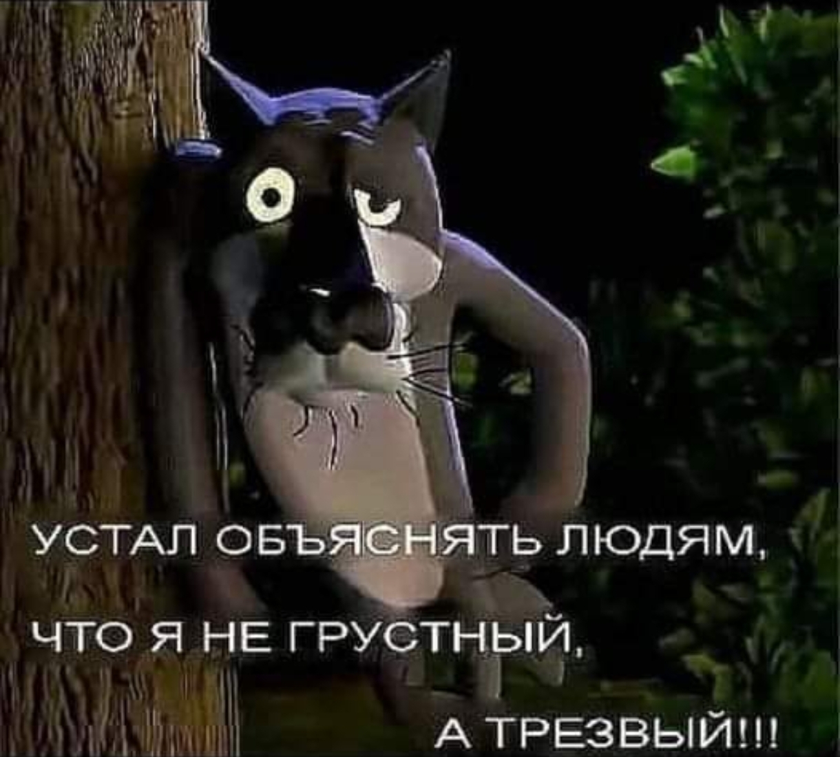 Screenshot_2024-07-15-19-21-51-450-edit_com.facebook.katana.jpg