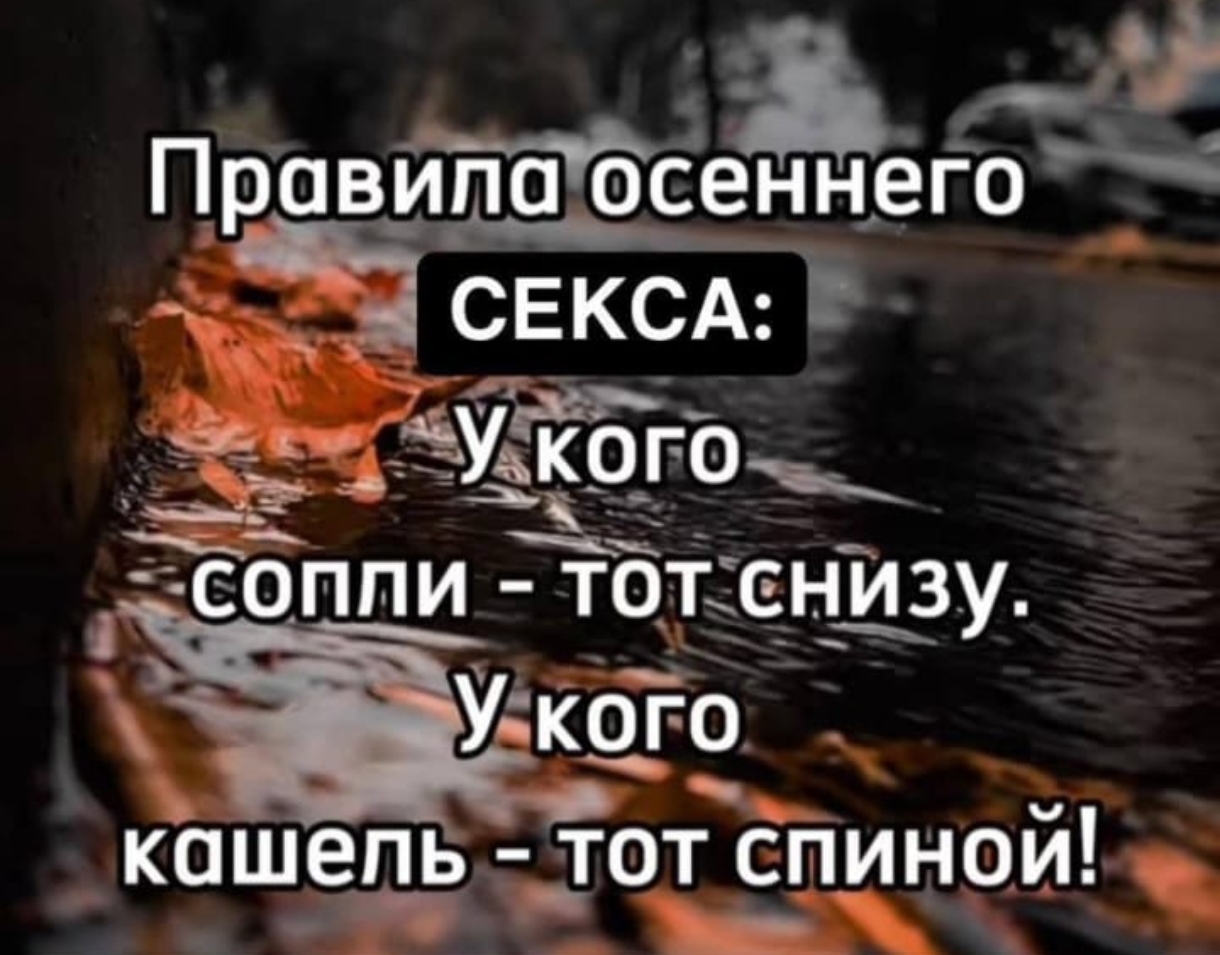 Screenshot_2024-11-26-21-39-54-464-edit_com.whatsapp.jpg