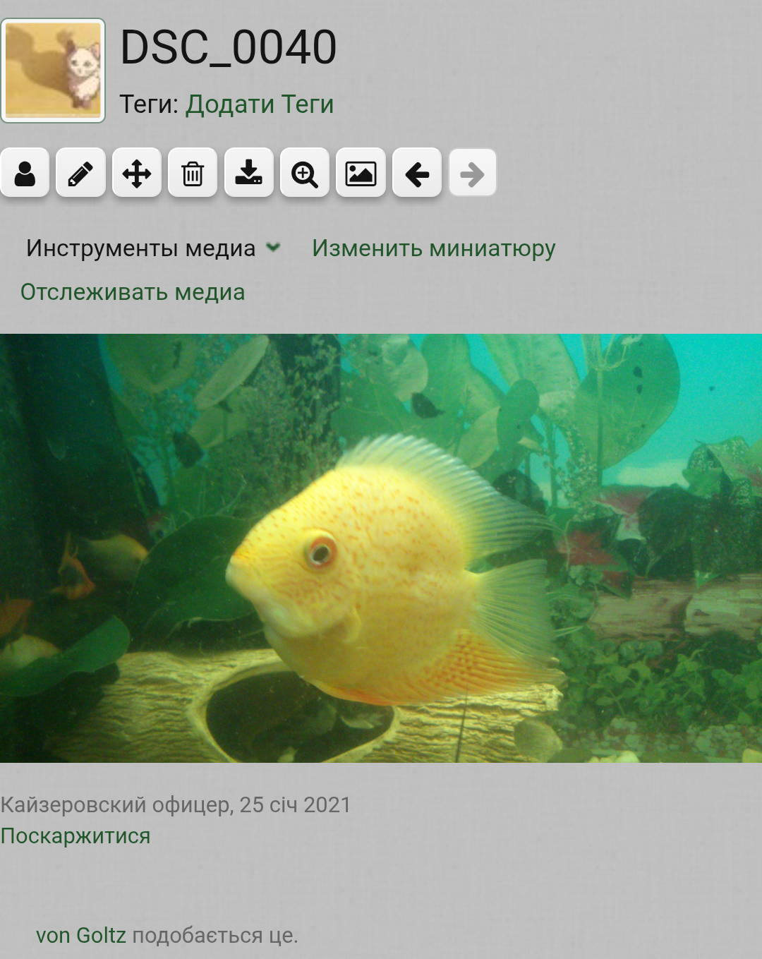 Screenshot_20250611-225607~2.png
